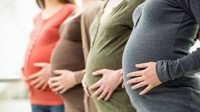В Госдуме прокомментировали законопроект о запрете услуг суррогатных матерей для иностранцев