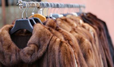 В Израиле запретили продажу меха для производства одежды