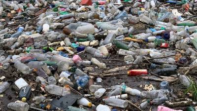 Жители Глазова чаще стали жаловаться на скопление мусора