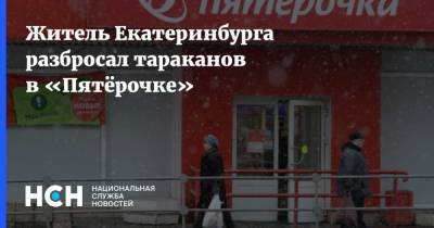 Житель Екатеринбурга разбросал тараканов в «Пятёрочке»