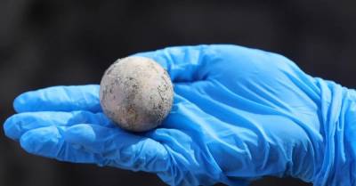 Как выглядит куриное яйцо, которому 1000 лет