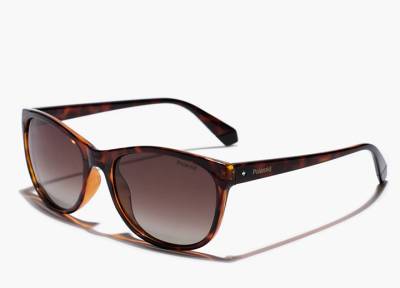 Солнцезащитные очки Полароид: почему они не теряют свою популярность