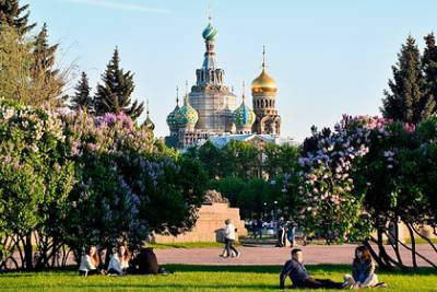 В центре Петербурга жителям «отдадут» все газоны