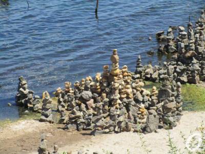 На одесском «собачьем» пляже взрастили сад камней (фото)