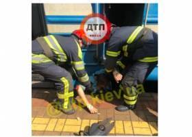 Микроавтобус отбросило на обочину: под Киевом произошло серьезное ДТП