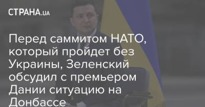 Перед саммитом НАТО, который пройдет без Украины, Зеленский обсудил с премьером Дании ситуацию на Донбассе