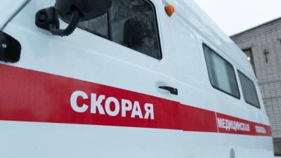 Жертвами ДТП с участием микроавтобуса под Воронежем стали два человека