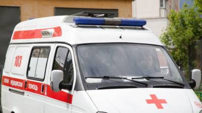 Два человека погибли в ДТП с микроавтобусом под Воронежем