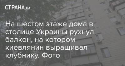 На шестом этаже дома в столице Украины рухнул балкон, на котором киевлянин выращивал клубнику. Фото