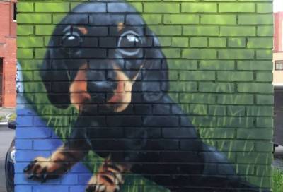 В Сосновом Бору появилось граффити с щенячьими глазками