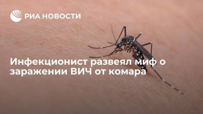 Инфекционист Пронин исключил возможность заражения ВИЧ-инфекцией от комара