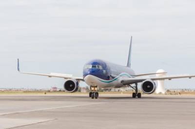 Самолет AZAL Airbus A320 не взлетел из-за попадания птицы в двигатель