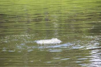 Трое подростков утонули в озере