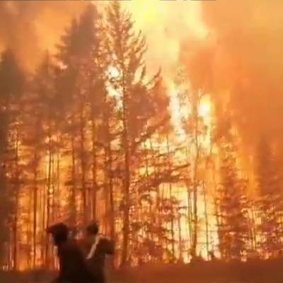 60 лесных пожаров на общей площади более 44 тыс. гектаров зарегистрировано в регионах России