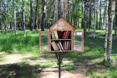 В парках Сыктывкара появились новые книжные домики