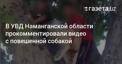В УВД Наманганской области прокомментировали видео с повешенной собакой