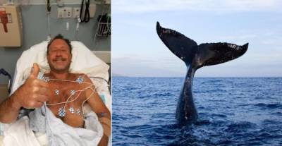 В США аквалангист смог выбраться живым из пасти кита