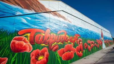 Трассу "Таврида" украсил огромный пейзаж в цветах флага России - фото