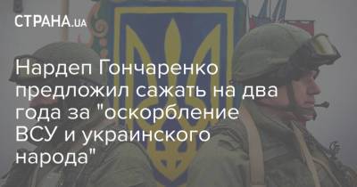 Нардеп Гончаренко предложил сажать на два года за "оскорбление ВСУ и украинского народа"