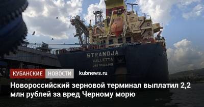 Новороссийский зерновой терминал выплатил 2,2 млн рублей за вред Черному морю