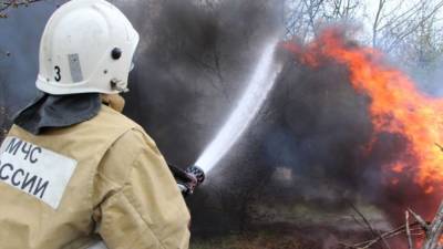 Пожарных наделили полномочиями проверять документы у граждан в РФ