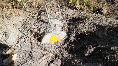 В лесу на Львовщине нашли контейнер с радиоактивным цезием