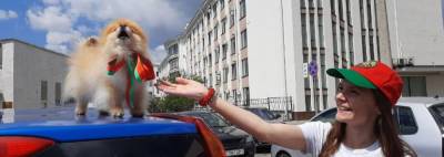 Километры за спиной: участники автопробега «За единую Беларусь» посетили Гомель