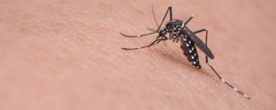 Инфекционист Александр Пронин исключил возможность заражения ВИЧ от комаров