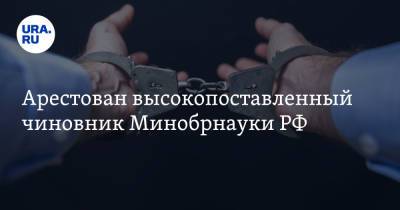 Арестован высокопоставленный чиновник Минобрнауки РФ