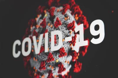 Росстат: смертность от COVID в 2020 году составила 144 691 человек