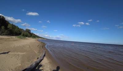 Россия и Эстония решила очистить Чудское озеро от загрязняющих веществ