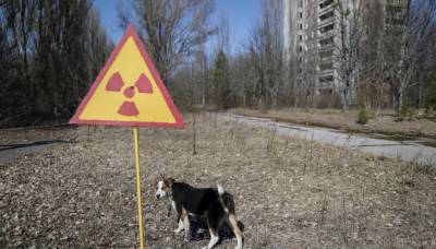 Редкое существо, обитающее в Чернобыле, показали на фото