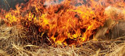 Высокая пожарная опасность сохранятся в Карелии