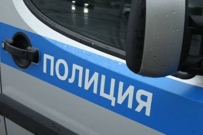 Найдена 2-летняя девочка из Видного, похищенная няней