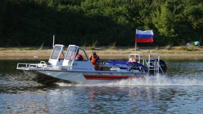 Спасатели помогли мужчине в Борисовском пруду на юге Москвы