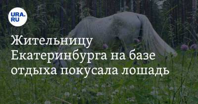 Жительницу Екатеринбурга на базе отдыха покусала лошадь. Видео
