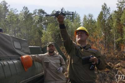 В праздники тюменские леса будут патрулировать в усиленном режиме