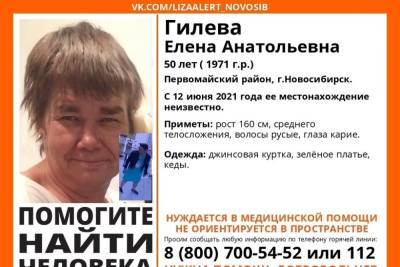Пропавшую женщину всю ночь искали волонтеры в Первомайском районе Новосибирска