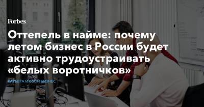 Оттепель в найме: почему летом бизнес в России будет активно трудоустраивать «белых воротничков»