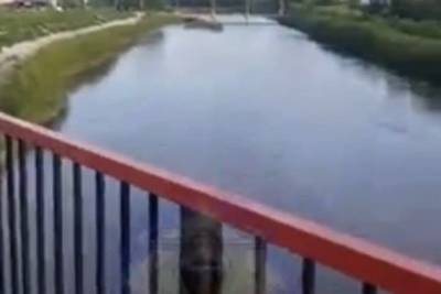 Читинец опубликовал видео разрушающегося моста через Читинку в районе «Пожарки»