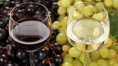 Перечислены продукты, с которыми нельзя пить вино
