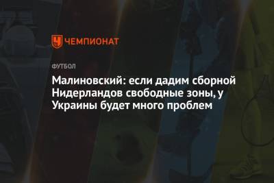 Малиновский: если дадим сборной Нидерландов свободные зоны, у Украины будет много проблем