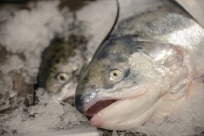 Диетолог объяснила, почему рыба глубокой заморозки безопаснее охлажденной