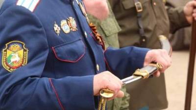 В «ЛНР» місцеві «козаки» заявили про можливість їх входження в структуру «Всевеликого війська Донського»