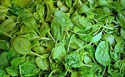 Al Arabiya (ОАЭ): зеленые листья хранят секрет «железного здоровья» - inosmi.ru - Эмираты