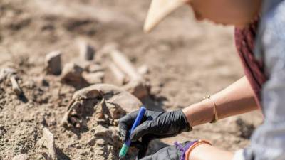 Норвежские археологи нашли затерянное поселение эпохи викингов