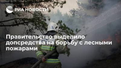 Правительство выделило еще более 2,7 миллиарда рублей на борьбу с лесными пожарами
