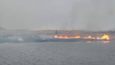 В Тюменской области из-за сильного лесного пожара перекрыли трассу на Омск