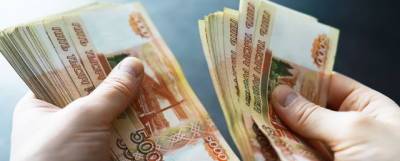 Жители России назвали желаемый размер безусловного дохода