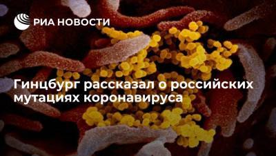 Глава Центра Гамалеи Гинцбург рассказал о российских мутациях коронавируса